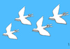 Cartoon: victory sky (small) by Medi Belortaja tagged victory sky pigeon colombo dove freedom
