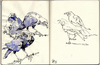 Cartoon: Murder2 (small) by halltoons tagged bird,birds,crow,crows,sketch,watercolor