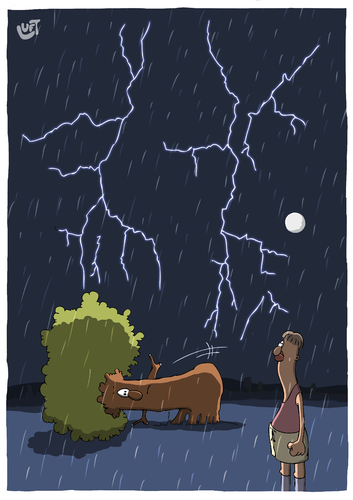 Cartoon: Gewitter (medium) by luftzone tagged cartoonalarm,cartoon,thomas,luft,luftzone,humor,comic,spaß,lustig,freude,lachen,comedy,lacher,brüller,zeichnung,sprechblase,karikatur,regen,gewitter,sturm,unwetter,gefahr,blitz,blitzschlag,baum,hinlegen,mond,nacht,natur,blitzschlag,blitz,gefahr,unwetter,sturm,gewitter,baum