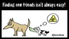 Cartoon: Finding friends... (small) by brezeltaub tagged finding,new,friends,isnt,always,easy,dogs,brezeltaub,biohazard,freundschaft,freunde,hund,hunde,schnuppern,beschnuppern,verhalten,rute