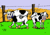 Cartoon: Fliegenklatsche (small) by Ago tagged evolution anpassung mutation selection kühe cow fliegen fliegenklatsche