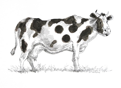 Cartoon: ohne Titel blinde Kuh (medium) by Rainer Schade tagged landwirtschaft,rätsel,cartoon,manipulation,landwirtschaft,rätsel,cartoon,manipulation