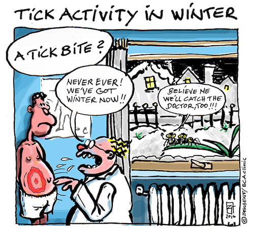 Cartoon: Zecken im Winter (medium) by zenundsenf tagged zecken,ticks,borreliose,winteraktivität,lyme,disease,ignoranz,korruption,zenf,zensenf,zenundsenf,cartoon,bca,clinic