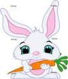 Cartoon: cute bunny with carrot (small) by GaGagraceIE tagged bunny,teeth,carrot,rabbits