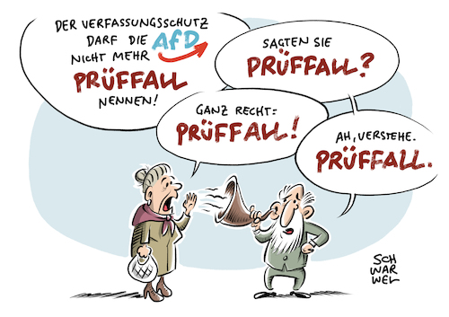 AfD Prüffall