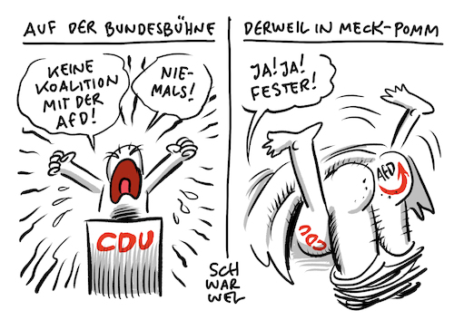 CDU Koalition mit AfD Penzlin