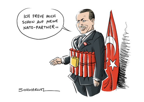 Erdogan Krieg in Syrien