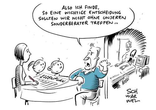 Maaßen Sonderberater