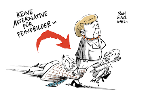 Merkel CDU Parteivorsitz AfD