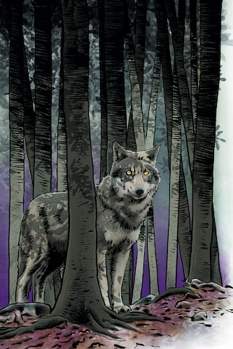 Cartoon: Wolf (medium) by Schwarwel tagged wolf,wölfe,tier,tiere,natur,raubtier,rudel,wolf,wölfe,tier,tiere,natur,raubtier,rudel