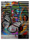 Cartoon: graufalter und die 3 (small) by edda von sinnen tagged illustration,motte,moth,graufalter,mann,zenundsenf,zensenf,zenf,andi,walter,frau,women,men,colours,edda,von,sinnen