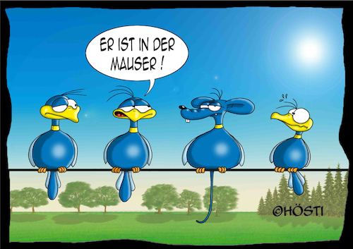 Cartoon: Höstis Batty Birds (medium) by Hösti tagged hösti,cartoons,hoesti,stephan,höstermann,batty,birds