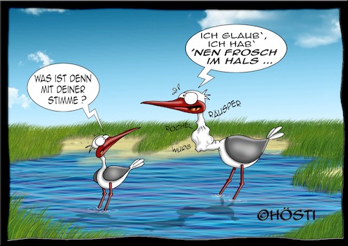 Cartoon: Höstis Vögelkunde (medium) by Hösti tagged hösti,cartoons,hoesti,stephan,höstermann,vögel,vogel,ornithologie,vögelkunde