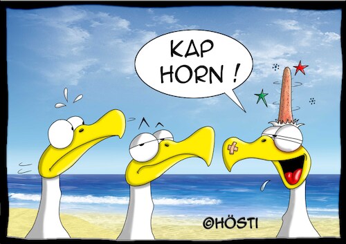 Cartoon: Kap Horn (medium) by Hösti tagged ich,liebe,wortspiele