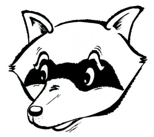 Cartoon: toon-racoon Tick (medium) by Stoefff tagged racoon,waschbär,