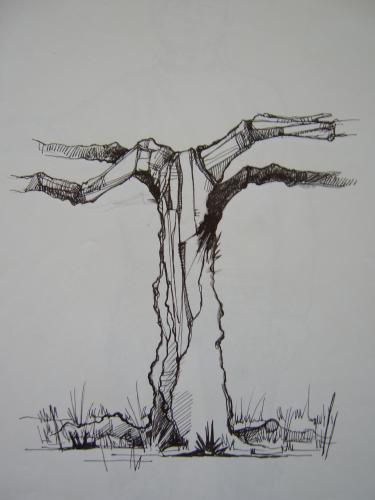 Cartoon: sketch of tree (medium) by gianlucasanvido tagged tree,