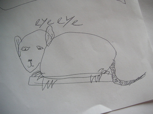 Cartoon: Aye Aye (medium) by chazchops tagged aye,drawing,cute,creature,animal,rodent,bushbabay,monkey