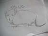 Cartoon: Aye Aye (small) by chazchops tagged aye,monkey,bushbabay,rodent,animal,creature,cute,drawing
