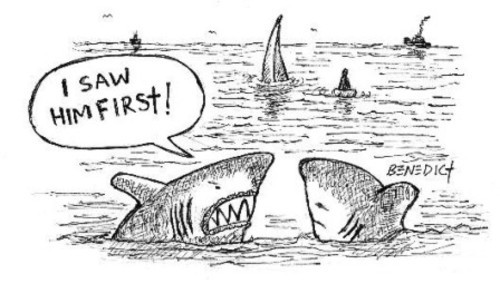 Cartoon: Shark Rage (medium) by efbee1000 tagged shark,prey,ocean,nature,ship,boat,capsize