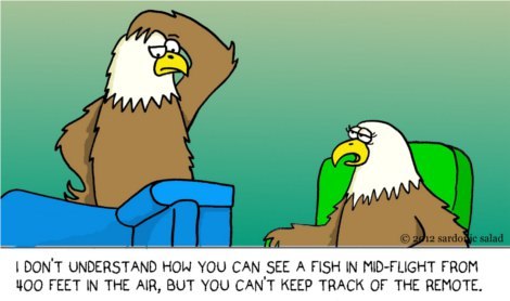 Cartoon: eagle eyed (medium) by sardonic salad tagged salad,sardonic,comic,cartoon,eagle