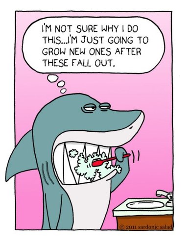 Cartoon: Healthy Smile (medium) by sardonic salad tagged sardonic,salad,shark,toothbrush,teeth,dental,hygiene