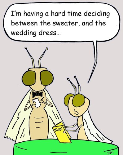 Cartoon: moth fine dining (medium) by sardonic salad tagged moth,cartoon