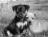 kevin_sullivan's avatar