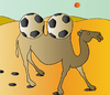 Cartoon: Camel (small) by Alexei Talimonov tagged football