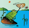 Cartoon: Frog (small) by Alexei Talimonov tagged frog