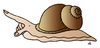 Cartoon: Snail (small) by Alexei Talimonov tagged snail