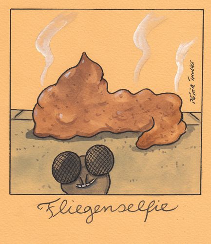 Cartoon: fliegenselfie (medium) by Peter Thulke tagged selfie,selfie