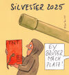 Cartoon: silvester 2025 (small) by Peter Thulke tagged silvester,knallerei,idioten