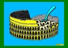 Cartoon: Gnocchi alla Romana (small) by srba tagged pizzapitch,italian,food,gnocchi,pasta,colosseum,footbal