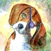 Cartoon: Beagle (small) by dimaz_restivo tagged dog,beagle