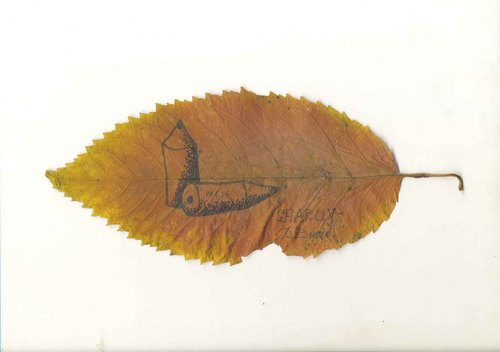 Cartoon: leaf (medium) by charlly tagged leaf
