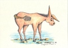 Cartoon: donkey (small) by charlly tagged donkey