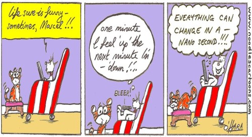 Cartoon: nanosecond!.. (medium) by noodles cartoons tagged marcel,hamish,cat,dog,tablet,computer
