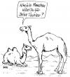 Cartoon: Mitgift (small) by besscartoon tagged kamel heiraten hochzeit wüste bess besscartoon