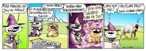 Cartoon: harry potter (medium) by lucholuna tagged gato,mancha