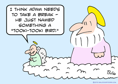 Cartoon: Adam named tooki-tooki bird god (medium) by rmay tagged adam,named,tooki,bird,god