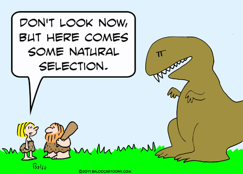 Cartoon: caveman natural selection (medium) by rmay tagged caveman,natural,selection