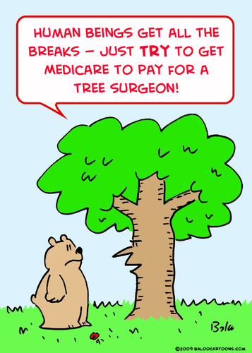 Cartoon: medicare pay tree surgeon (medium) by rmay tagged medicare,pay,tree,surgeon